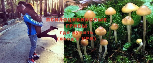 марки nbome Белокуриха