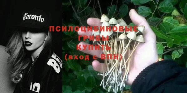 2c-b Белоозёрский