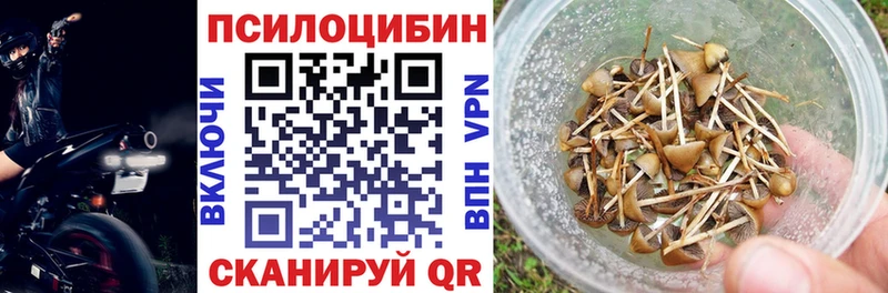 Галлюциногенные грибы мицелий  где продают наркотики  Пионерский 